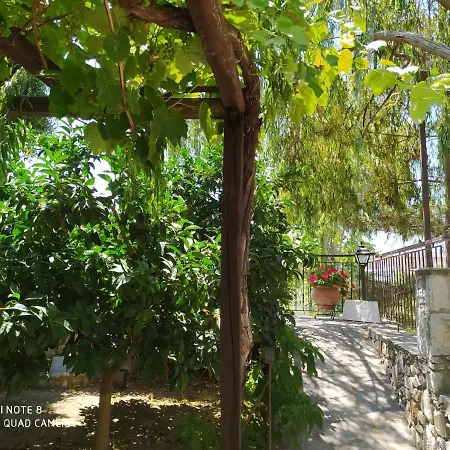 Morfili * Limenaria (Thasos)