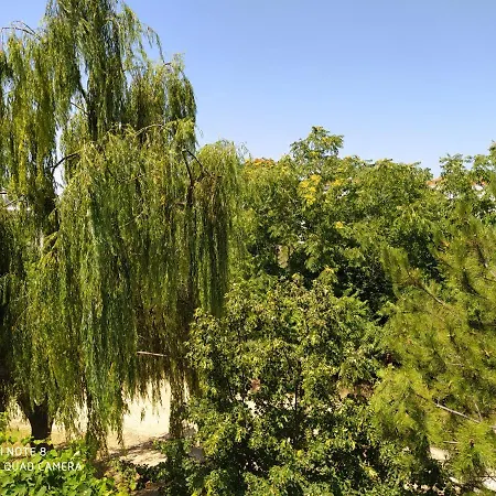 Morfili Apartamento Limenaria (Thasos)